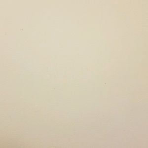 Meet your Posher, Kelli